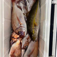 10月30日(木)午前便・タテ釣り・午後便・ウタセマダイ釣りの写真その6