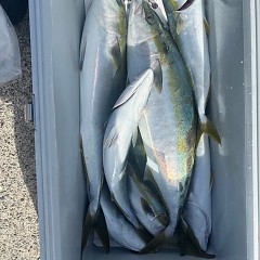 10月30日(木)午前便・タテ釣り・午後便・ウタセマダイ釣りの写真その7