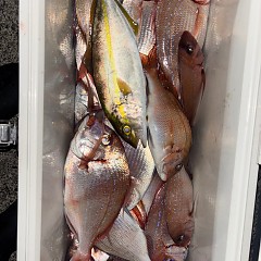 10月30日(木)午前便・タテ釣り・午後便・ウタセマダイ釣りの写真その8