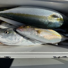 10月 30日(木)午前便・タテ釣りの写真その5