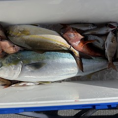 10月 30日(木)午前便・タテ釣りの写真その6