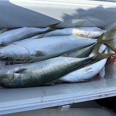 10月 30日(木)午前便・タテ釣りの写真その7