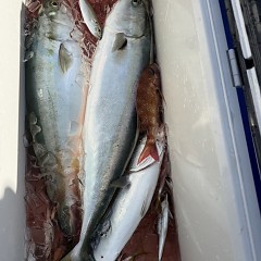 10月 30日(木)午前便・タテ釣りの写真その9