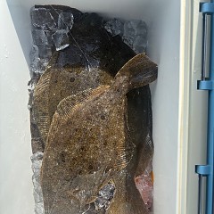 11月1日(土)午前便・ヒラメ釣りの写真その7