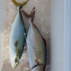 11月1日(土)午前便・ヒラメ釣りの写真その8