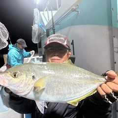 11月 1日（土）午後便・ウタセ真鯛の写真その2