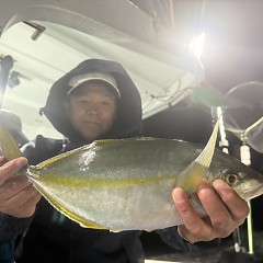 11月 1日（土）午後便・ウタセ真鯛の写真その3