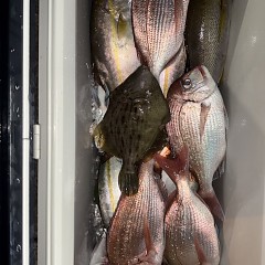 11月 1日（土）午後便・ウタセ真鯛の写真その7