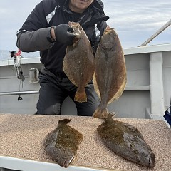 11月2日（日）午前便・ヒラメ釣りの写真その10