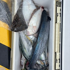 11月2日（日）午前便・ヒラメ釣りの写真その11