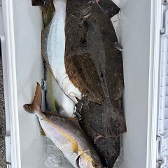 11月2日（日）午前便・ヒラメ釣りの写真その12