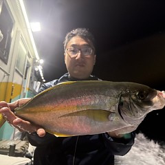 11月 2日（日）午後便・ウタセ真鯛の写真その2