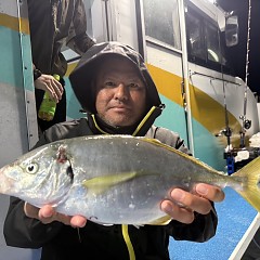 11月 2日（日）午後便・ウタセ真鯛の写真その3