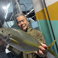 11月 2日（日）午後便・ウタセ真鯛の写真その4