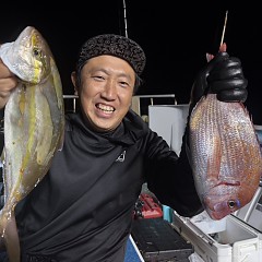 11月 2日（日）午後便・ウタセ真鯛の写真その5