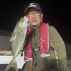 11月 3日(月)午後便・ウタセ真鯛の写真その3