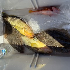 11月3日(月)午前便・ヒラメ釣りの写真その8