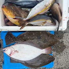 11月4日(火)午前便・ヒラメ釣りの写真その2