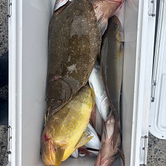 11月4日(火)午前便・ヒラメ釣りの写真その4