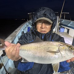 11月 5日（火）午後便・ウタセ真鯛の写真その1