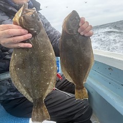 11月 6日(木)午前便・ヒラメ釣りの写真その7