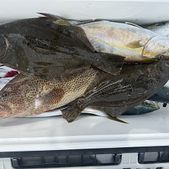 11月 6日(木)午前便・ヒラメ釣りの写真その11