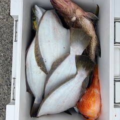 11月6日(木)午前便・ヒラメ釣りの写真その5