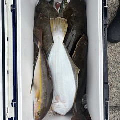 11月6日(木)午前便・ヒラメ釣りの写真その6