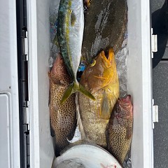 11月6日(木)午前便・ヒラメ釣りの写真その7