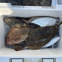 11月7日(金)午前便・ヒラメ釣りの写真その4