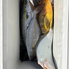 11月7日(金)午前便・ヒラメ釣りの写真その5