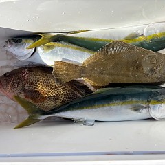 11月7日(金)午前便・ヒラメ釣りの写真その6