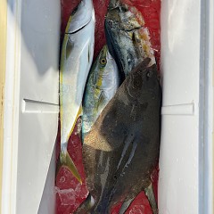 11月7日(金)午前便・ヒラメ釣りの写真その8