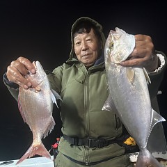 11月 7日（金）午後便・ウタセ真鯛の写真その1