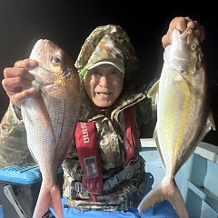 11月 7日(金)午後便・ウタセ真鯛の写真その2