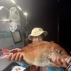 11月 7日(金)午後便・ウタセ真鯛の写真その3