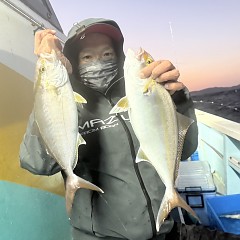 11月 7日(金)午後便・ウタセ真鯛の写真その11