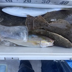 11月7日(金)午前便・ヒラメ釣りの写真その10