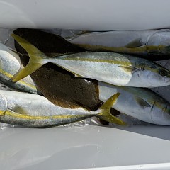 11月7日(金)午前便・ヒラメ釣りの写真その11