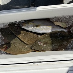 11月8日(土)午前便・ヒラメ釣りの写真その10