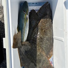 11月8日(土)午前便・ヒラメ釣りの写真その11