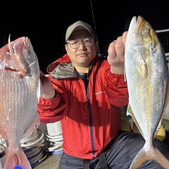 111月 8日(土)午後便・ウタセ真鯛の写真その2