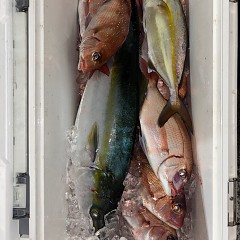 11月8日(土)午後便・ウタセマダイ釣りの写真その8