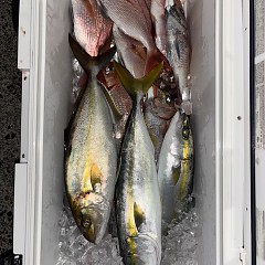 11月8日(土)午後便・ウタセマダイ釣りの写真その9