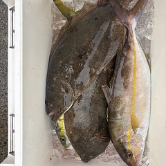 11月9日(日)午前便・ヒラメ釣りの写真その3