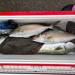 11月9日(日)午前便・ヒラメ釣りの写真その4