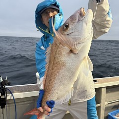 11月9日（日）午後便・ウタセマダイ釣りの写真その1