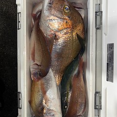 11月9日（日）午後便・ウタセマダイ釣りの写真その6