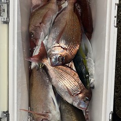 11月9日（日）午後便・ウタセマダイ釣りの写真その8