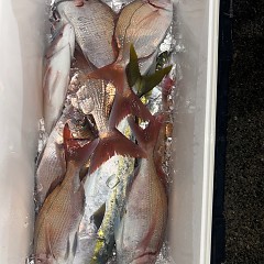 11月9日（日）午後便・ウタセマダイ釣りの写真その10